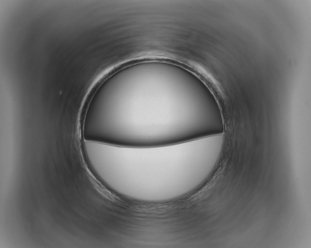 X0000110321372200905211157
