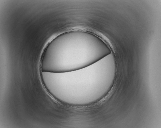 X0000110321373200905211157