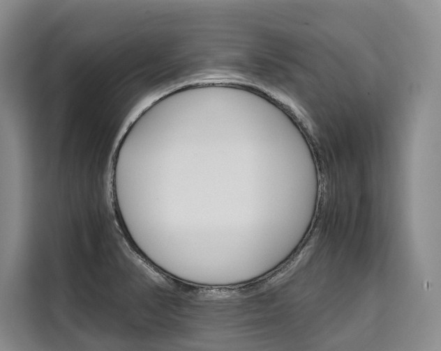 X0000110321374200905211157