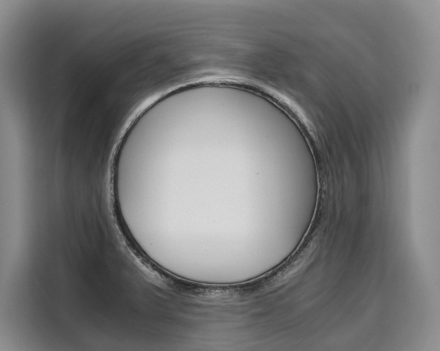 X0000110321375200905211157
