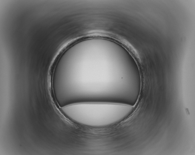 X0000110321376200905211157