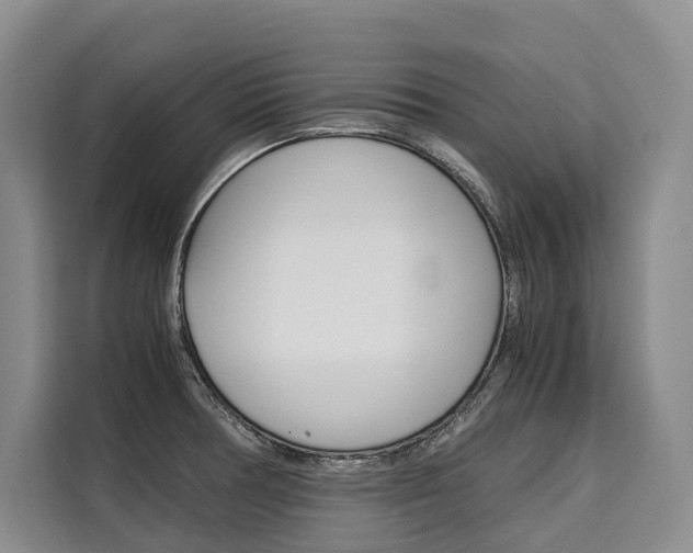 X0000110321378200905211157