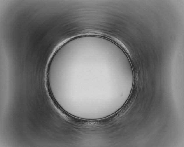 X0000110321379200905211157