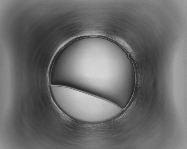 X0000110321380200905211157