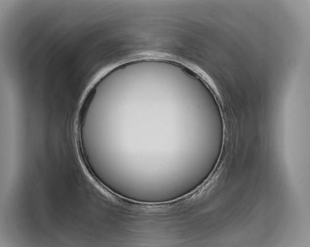 X0000110321381200905211157