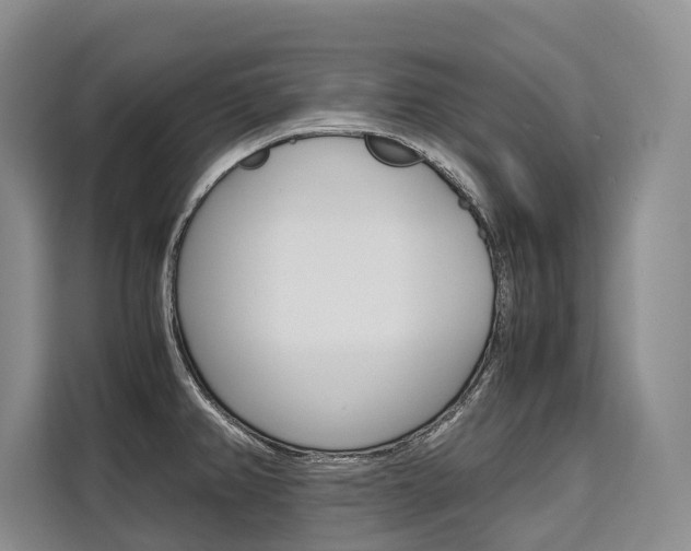 X0000110321382200905211157