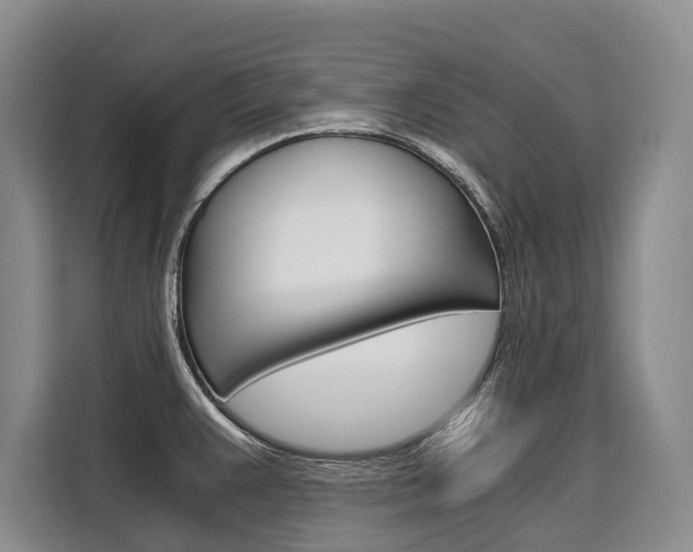 X0000110321383200905211157