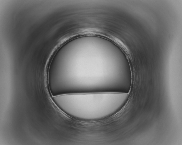 X0000110321384200905211157
