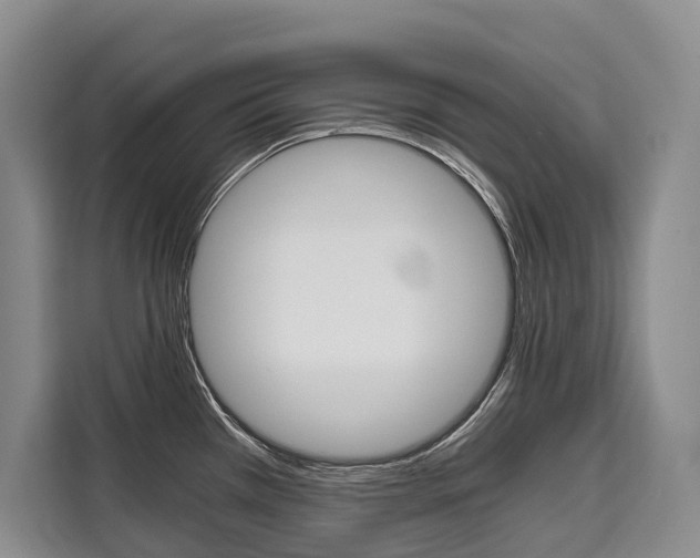 X0000110321385200905211157