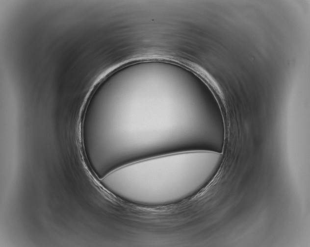 X0000110321388200905211156