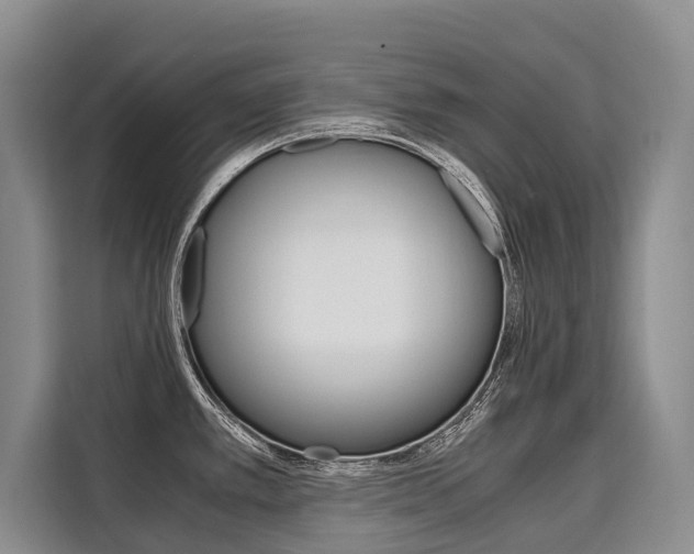 X0000110321389200905211156