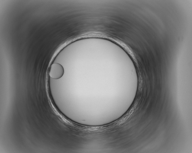 X0000110321390200905211156
