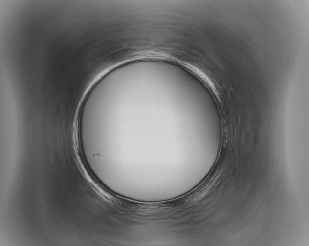 X0000110321391200905211156