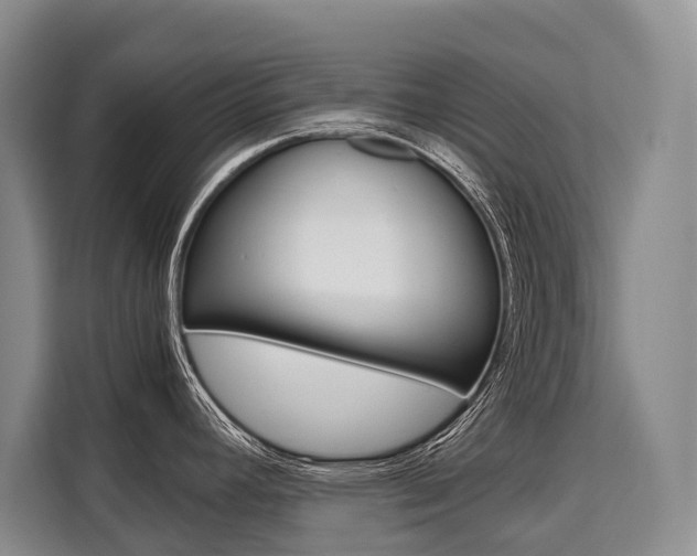 X0000110321392200905211156