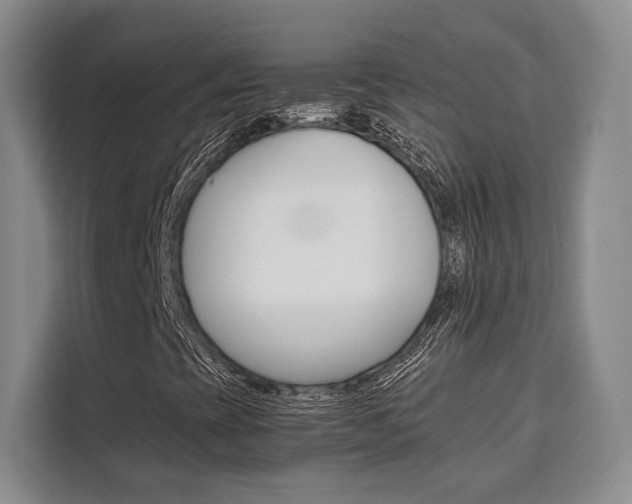 X0000110321393200905211156