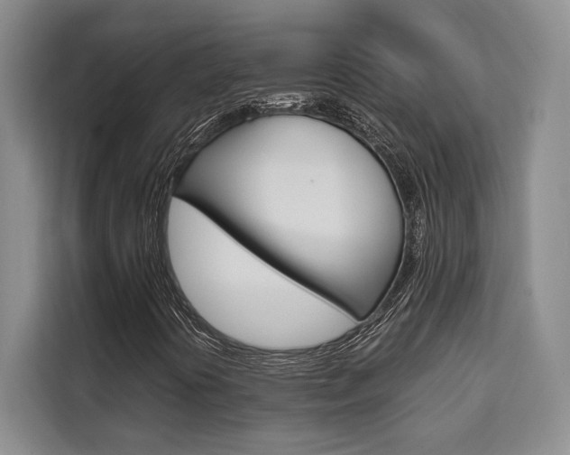 X0000110321394200905211156