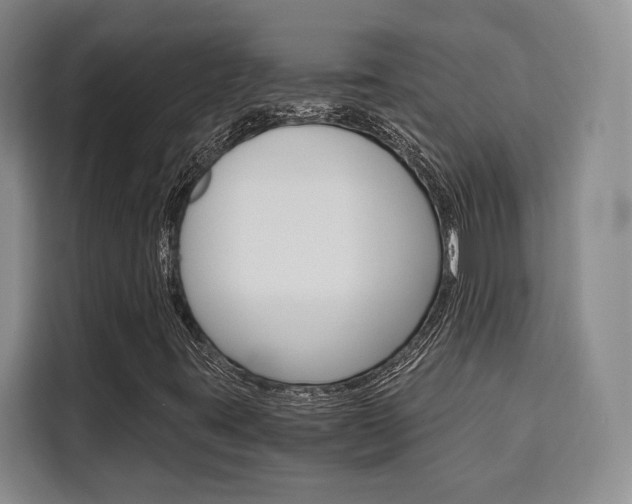 X0000110321395200905211156