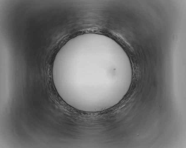 X0000110321399200905211156