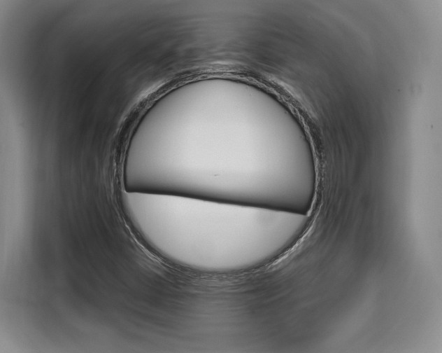 X0000110321402200905211156