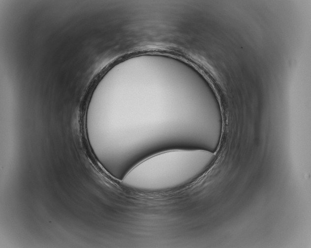 X0000110321404200905211156