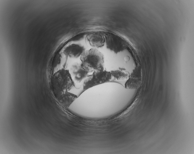 X0000110321405200905211156
