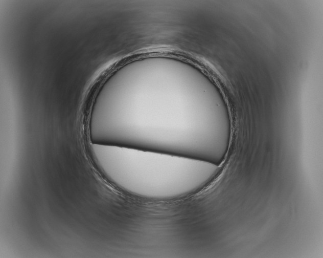 X0000110321406200905211156