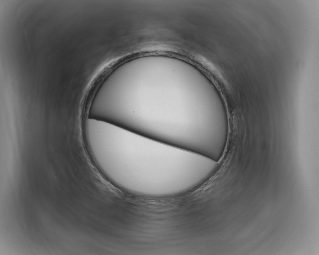 X0000110321408200905211156