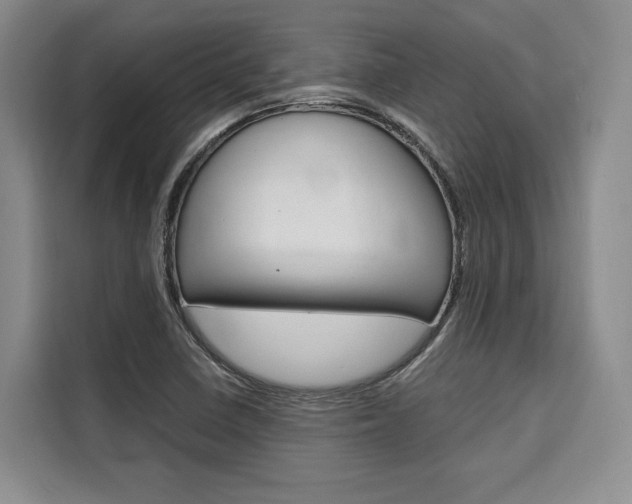 X0000110321410200905211156