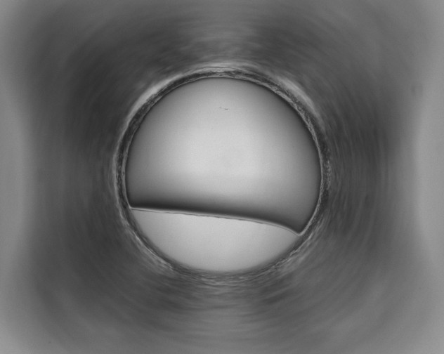 X0000110321412200905211156