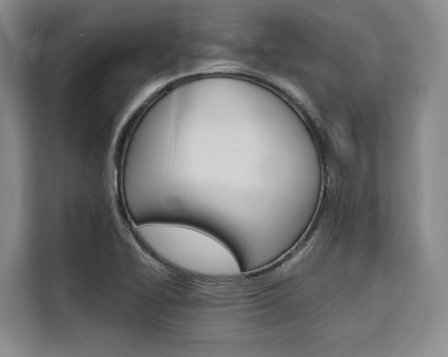 X0000110321414200905211156
