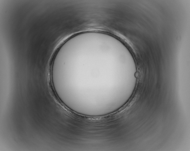 X0000110321415200905211156