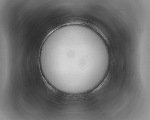 X0000110321417200905211156