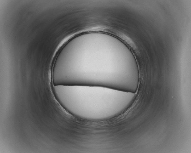 X0000110321420200905211156