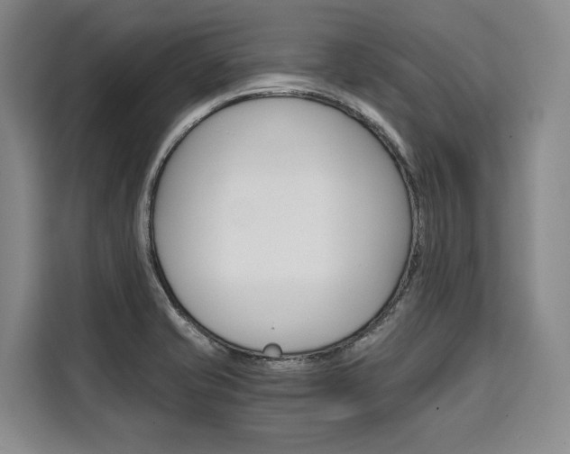 X0000110321421200905211156