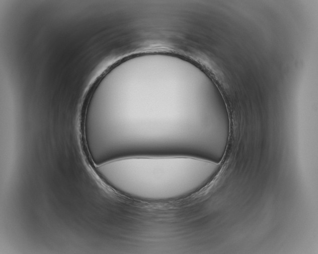 X0000110321422200905211156