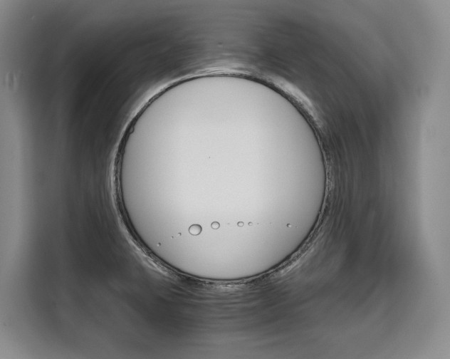 X0000110321423200905211156