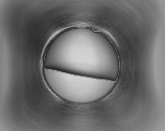 X0000110321424200905211156