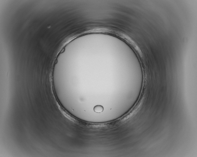X0000110321425200905211156