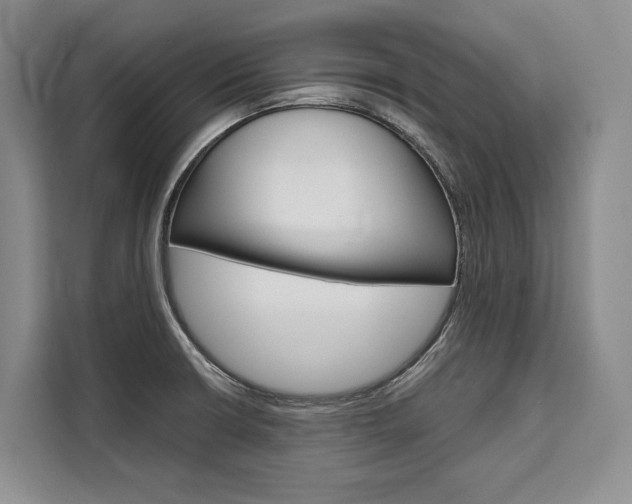 X0000110321426200905211156
