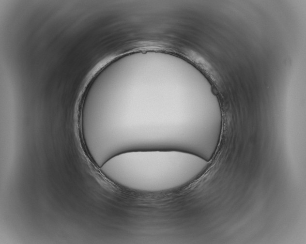 X0000110321427200905211156