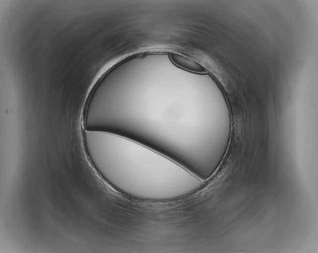X0000110321428200905211156
