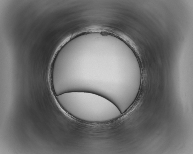 X0000110321429200905211156