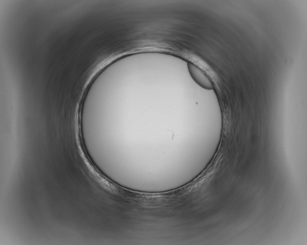 X0000110321431200905211156