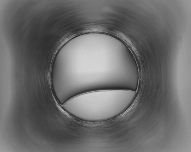 X0000110321433200905211156