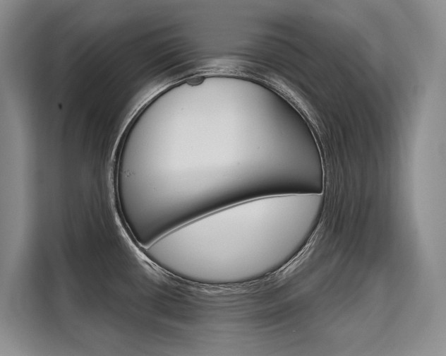 X0000110321434200905211156