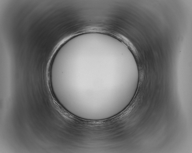 X0000110321435200905211156