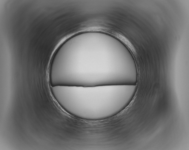 X0000110321436200905211156