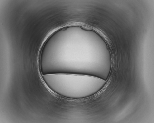 X0000110321438200905211156