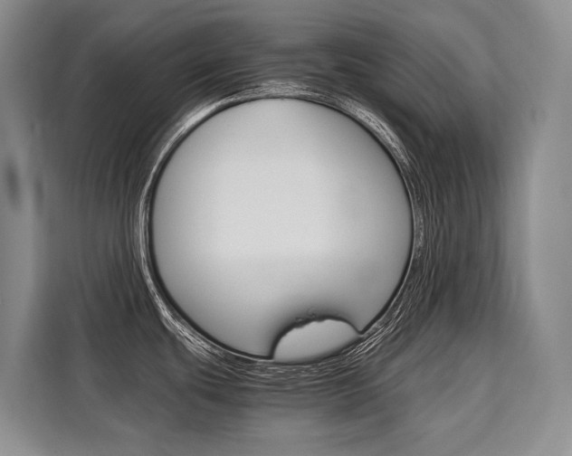 X0000110321439200905211156