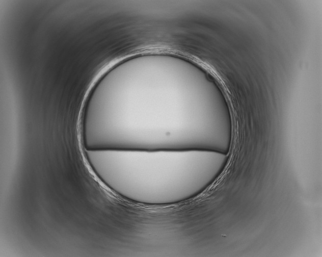 X0000110321440200905211156